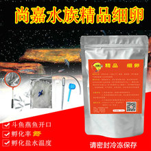 燕鱼斗鱼苗开口鱼饲料 好细卵可孵化丰年虾卵 新到今年盐田细卵
