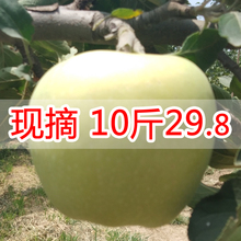 青苹果水果新鲜酸脆青苹果孕妇当季水果整箱10斤包邮非红富士苹果