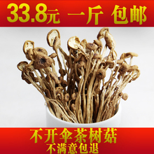 2019新货不开伞茶树菇香菇茶树菇250 包邮 茶树菇干货500克