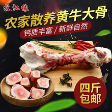 【牧江缘】生鲜牛筒骨现宰新鲜牛骨头煲汤新鲜牛肉牛棒骨带牛骨髓