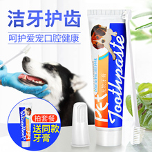 狗狗牙刷牙膏套装 泰迪专用猫咪金毛除口臭神器指套宠物用品可食用
