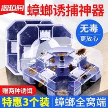 蟑螂捕捉器蟑螂药家用无毒一窝端克星灭杀防除蟑螂屋神器盒厨房贴
