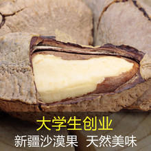 包邮 新货新疆特产大鲍鱼果原味沙漠果坚果休闲零食送开口器500克