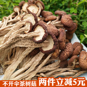 500g特级干货不开伞茶树菇江西黎川茶薪菇 包邮 新货农家茶树菇干货