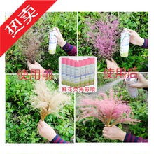 满天星染色剂鲜花荧光彩喷野花七彩情人草玫瑰绣球染色上色喷色剂