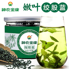 买1赠1神农金康七叶绞股蓝茶 正品罗布麻野生胶股蓝特级买2发500g