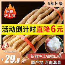 温县垆土铁棍山药正宗河南焦作农家新鲜怀山淮山约片铁杆棒5斤装
