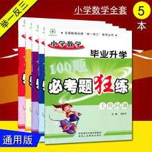 工程 几何 六年级知识点夺冠考点作业本 分数应用题举一反三李济元 小学数学毕业升学必考题狂练100题 比例 行程问题 全套五本