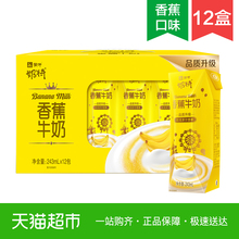 12盒浪漫好滋味 蒙牛奶特香蕉牛奶口味243ml