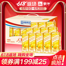 12盒 蒙牛真果粒芒果果粒250g