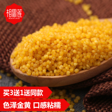 买3送1 相思莲 山西广灵黄小米500g 山西小米沁州黄小米 特级
