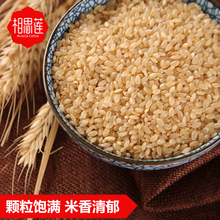 粗粮五谷杂粮新米 农家糙米饭玄米粒 糙米500g 相思莲