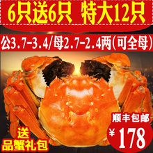 共12只装全母虾兵蟹将大闸蟹鲜活海鲜年货特大螃蟹鲜活 大闸蟹