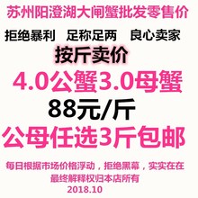 正宗阳澄湖大闸蟹鲜活螃蟹公蟹4.0两新鲜特大论斤卖足称足量现货