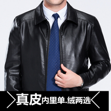 中年加绒加厚绵羊皮男外套新款 海宁真皮皮衣男翻领真皮皮夹克男装