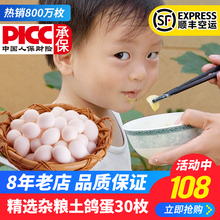农家散养白鸽蛋30个装 包邮 恒沃新鲜鸽子蛋顺丰 孕妇宝宝生鲜鹌鹑蛋