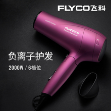 飞科电吹风机家用理发店专用风力大功率负离子不伤发廊静音吹风筒