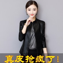 皮夹克小外套潮 立领显瘦2019春秋新款 韩版 女装 修身 海宁皮衣女短款