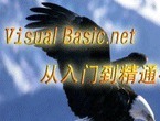 李天生VB.NET软件开发视频教程 380元 限时优惠
