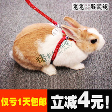包邮 宠物兔子垂耳兔猫狗牵引外带绳牵引带遛兔绳溜弯绳子用品玩具