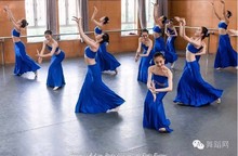 演出服傣族舞蹈练习裙 练功舞裙长裙孔雀舞蹈表演服装 傣族舞蹈服装