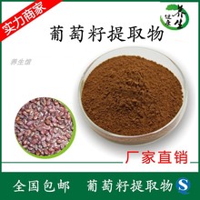 1000g 养生馆工厂现货供应原花青素 规格 葡萄籽提取物