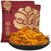 虫草花孢子头蛹虫草 250g 北金虫草正品 宝芝林虫草花干货 2袋