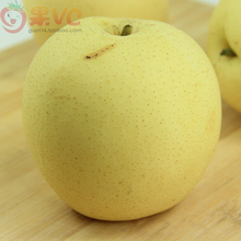 约1.2斤 梨子 赵县梨 2颗 新鲜水果 河北赵州皇冠梨 精品