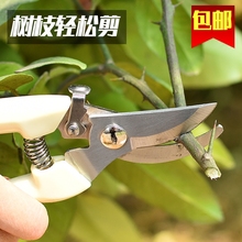 包邮 园林园艺剪刀园丁剪花枝修剪树枝剪刀果枝剪修花剪刀修枝剪刀