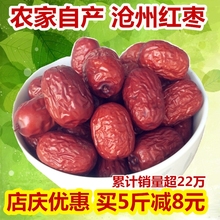 新枣特级沧州金丝红枣干小枣500g农家自产零食泡茶煲汤散装包邮