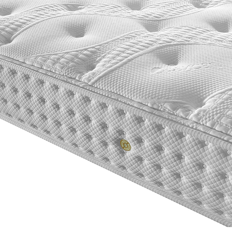 �������ɴ���mengxiang