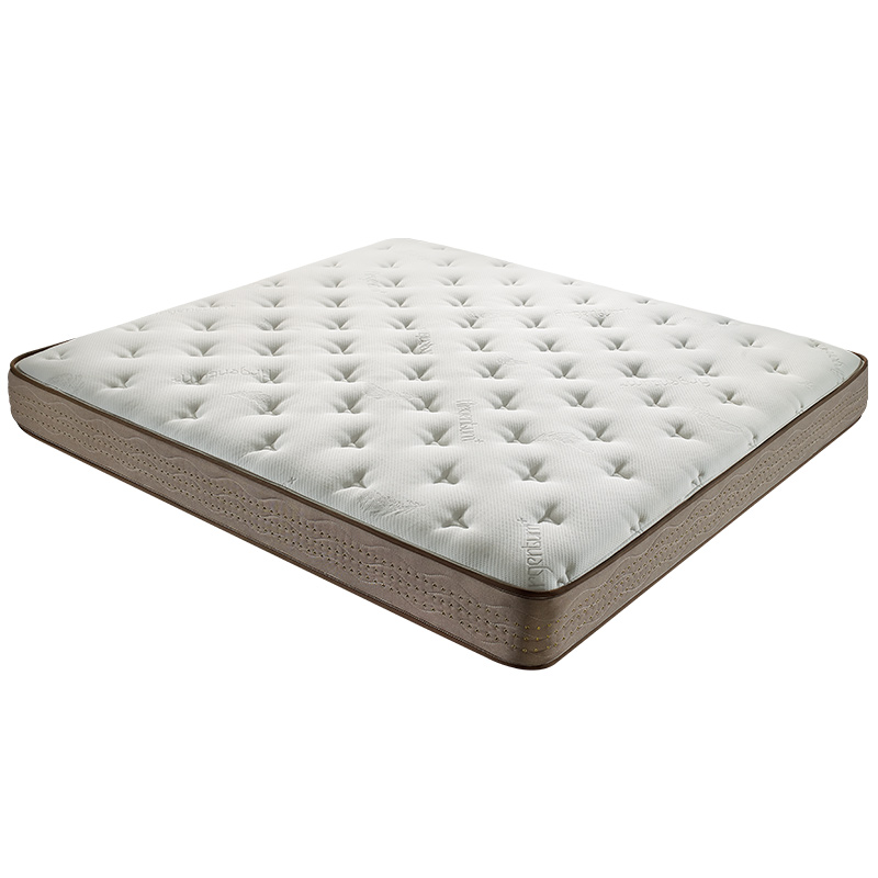 �����������齺����