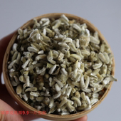 绿萝花西藏野生绿萝花非花茶花瓣特级绿罗花500g