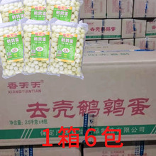 清水火锅食材去壳水煮新鲜麻辣烫炸串 白水鹌鹑蛋 6包优惠价