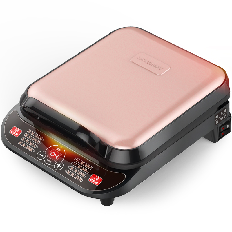 ���ʵ����˫�� LR-D3303