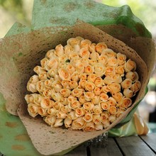 情人节99朵红粉白玫瑰花束北海市海城海铁山港区鲜花店同城速递