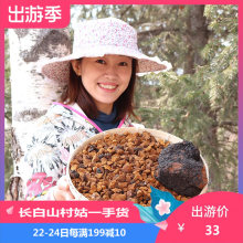 桦褐孔菌长白山天然胰岛素 桦树茸野生白桦茸非俄罗斯进口特级正品