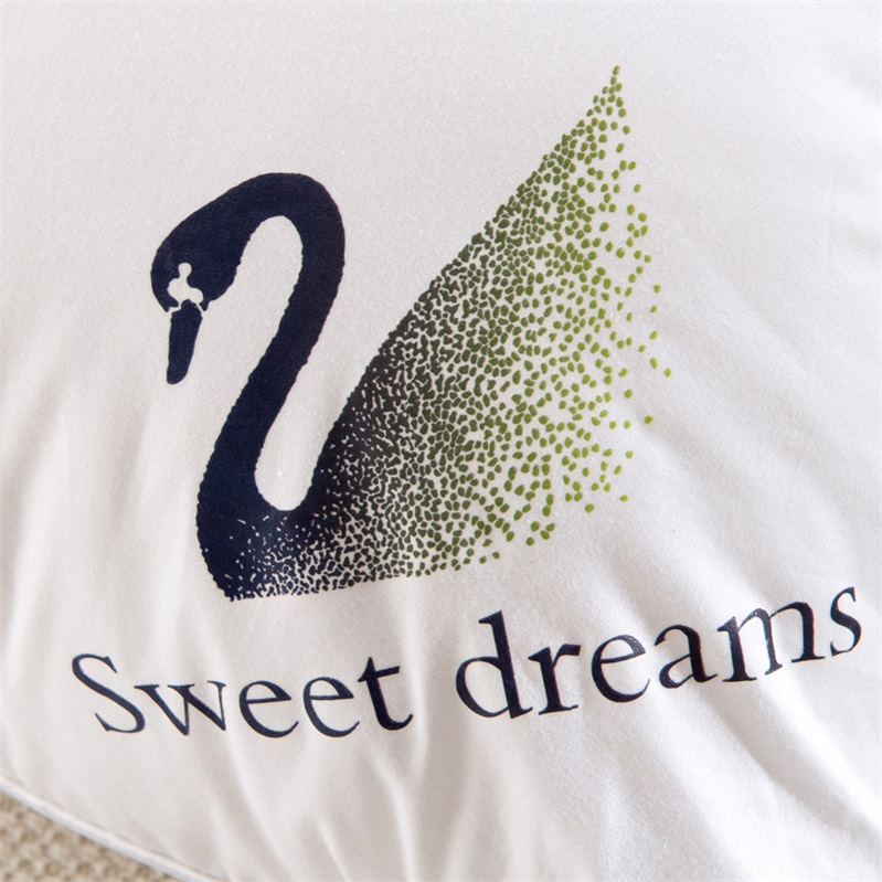 ������ȫ����ͷZT06