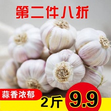 包邮 2019新蒜晒干蒜干蒜干大蒜河南紫白皮新鲜干大蒜金杞大蒜2斤