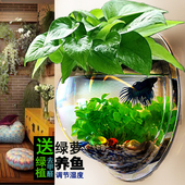 墙上悬挂圆形花盆新房客厅卧室除甲醛 创意壁挂鱼缸壁挂水培花盆