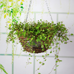 藤编柳编吊兰花篮吊篮花盆垂吊花盆创意家居装饰品室内盆栽花盆