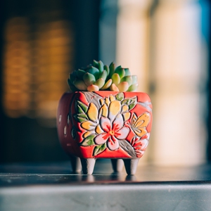 手捏手绘多肉花盆