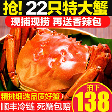 【共22只】现货六月黄大闸蟹特大鲜活海鲜水产螃蟹全公母蟹礼盒装