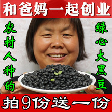 肾之谷 农家自产黑豆绿心大黑豆非转基因青仁绿芯生黑豆杂粮250g