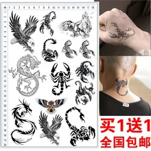 致青春防水个性手臂纹身贴刺青男老鹰蝎子龙纹身贴刺青买1送1包邮