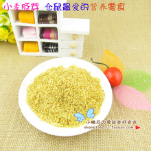 小麦胚芽 富含维生素E 抗衰老 仓鼠零食 仓鼠主粮添加 50g