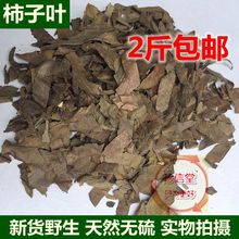 中药材 天然晾晒柿子叶柿子树叶茶 无硫柿叶茶 500克2斤包邮
