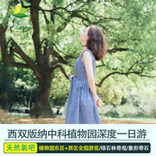 西双版纳一日游 中科院热带植物园全园门票+景区往返车接送 纯玩