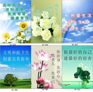 校园文化宿舍文明标语壁画墙贴纸学校布置学生