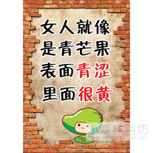 酒吧餐厅饭店个性 饰画 女人就像青芒果 搞笑海报创意挂画墙画芯